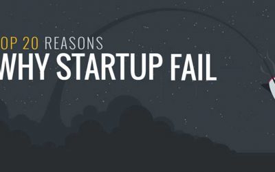 Top 20 Reasons Why Startup Fail [Infographic]