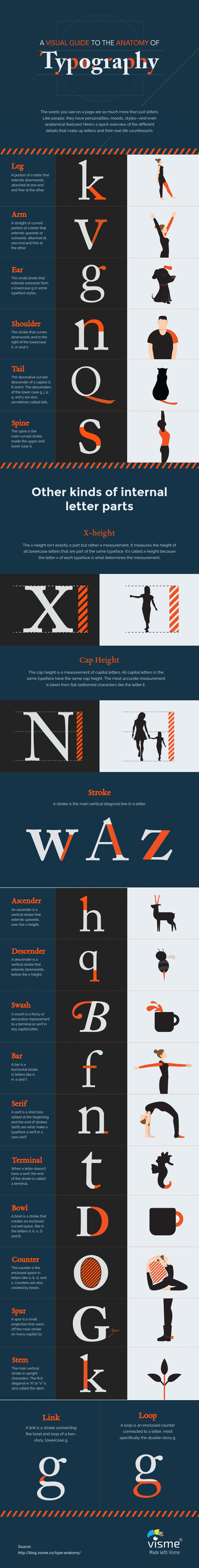 A Visual Guide to the Anatomy of Typography