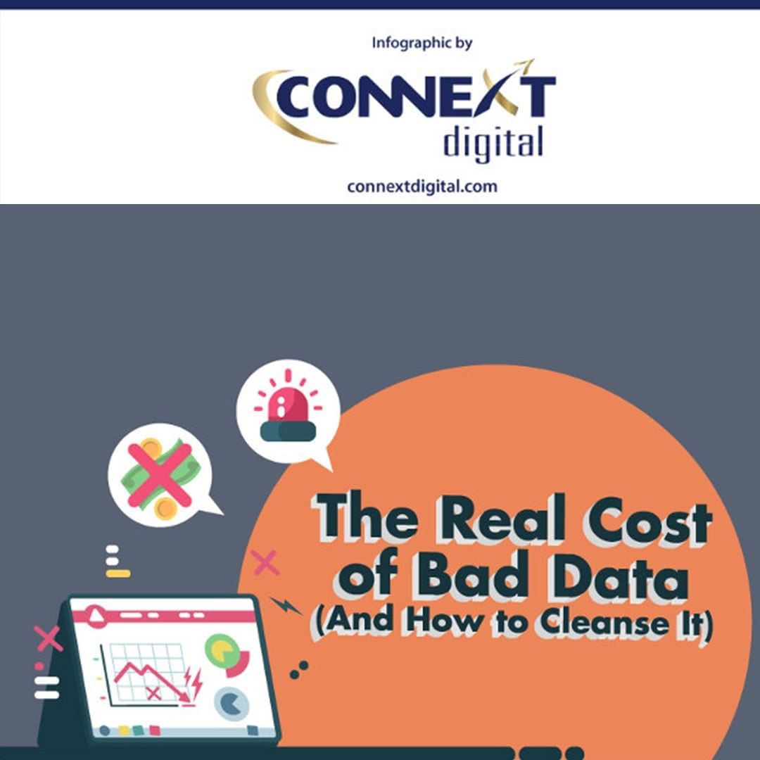 The Real Cost Of Bad Data And How To Cleanse It Infographic Skillz ME
