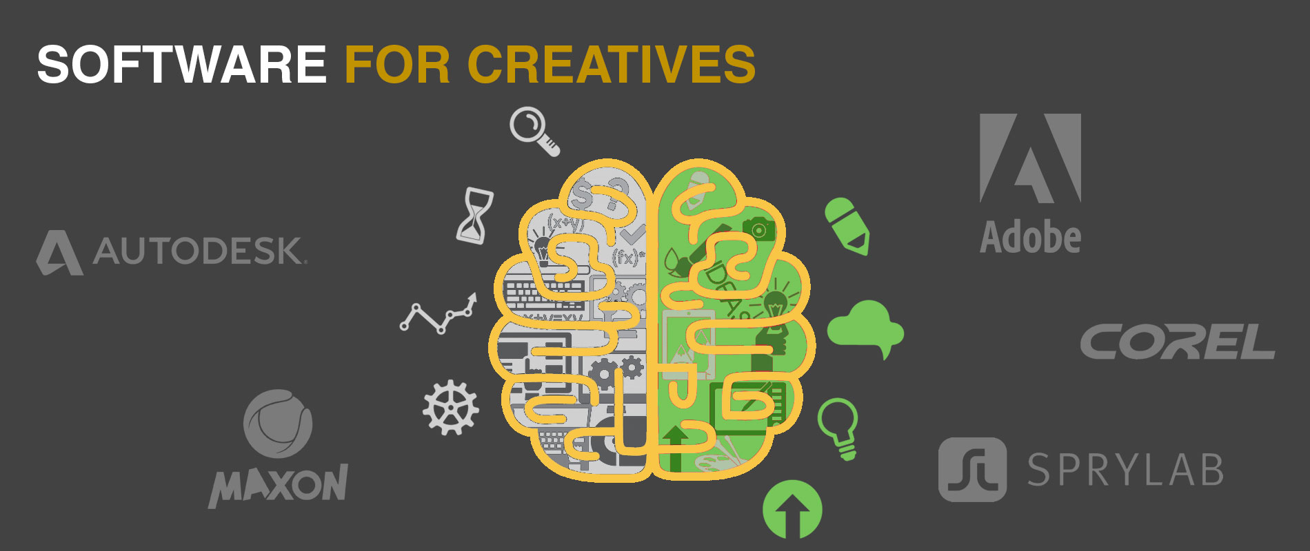 Creative Software offered by Skillz Middle East