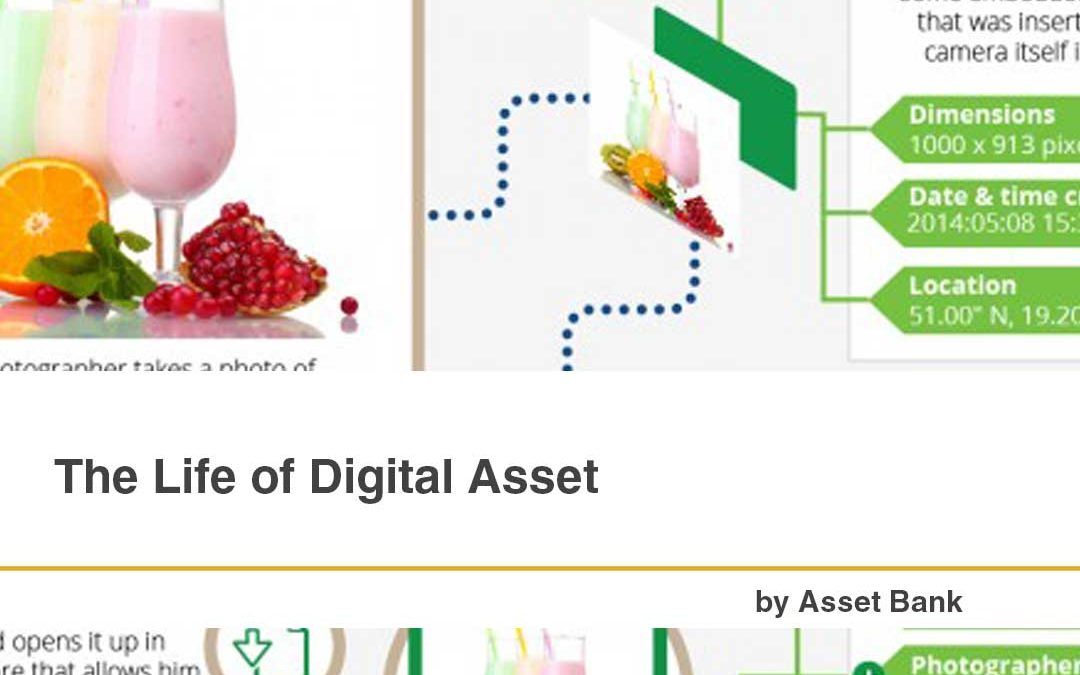 The Life of a Digital Asset [Infographic]