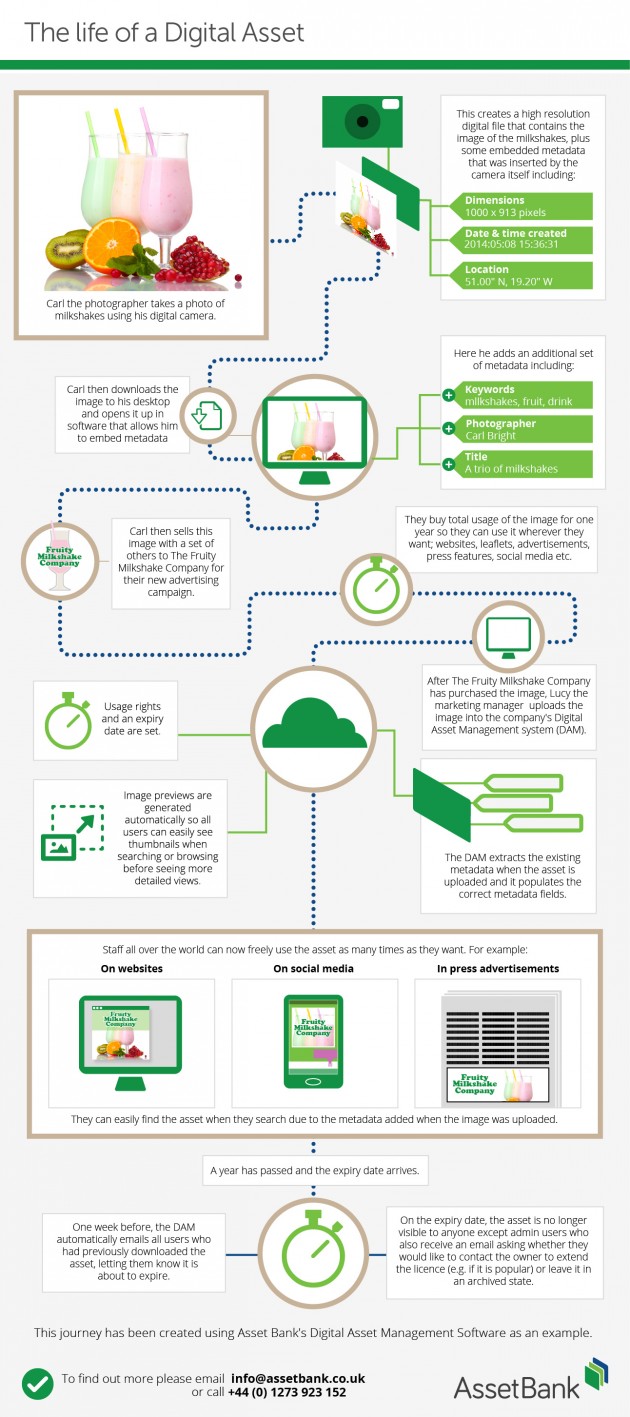 The Life of a Digital Asset [Infographic]