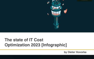 The state of IT Cost Optimization 2023 [Infographic]